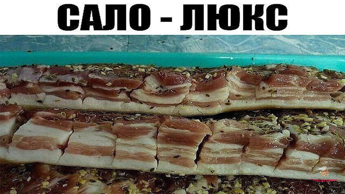 Сало Люкс